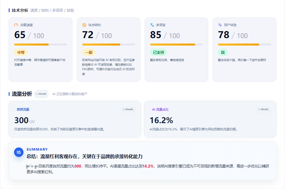 SEO 审计技术分析与流量分析截图